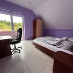 Róż Villa *